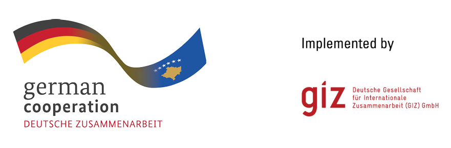 GIZ Logo